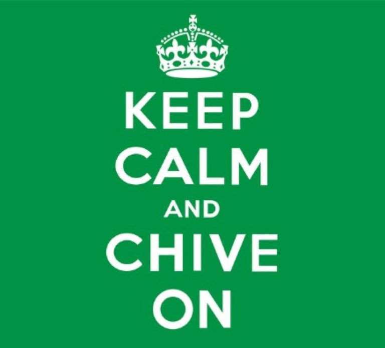 What KCCO Stands For and How to Use It