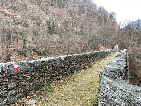 Old footbridge near Barattina, VC, Italy, and the first flowers of this year
