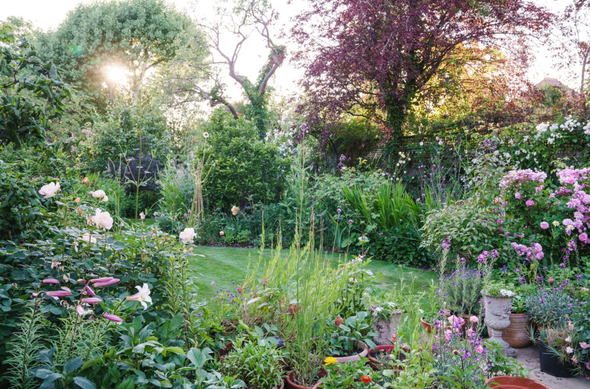 How To Design A Garden Border