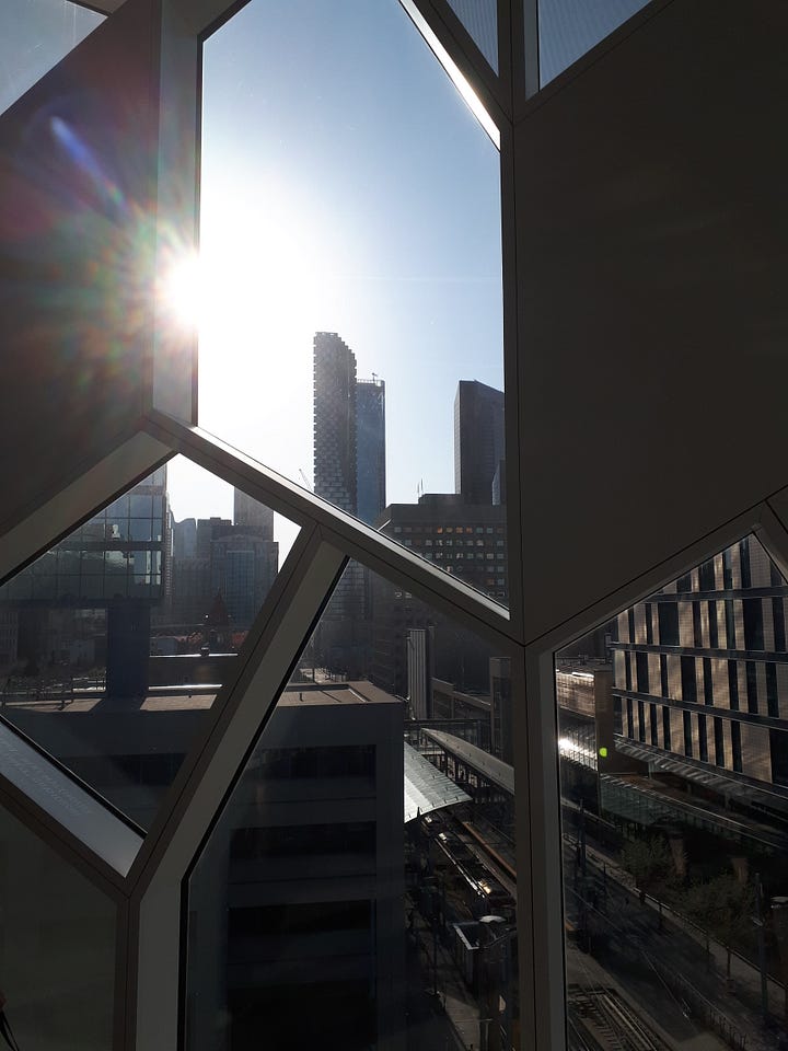 Calgary library. Wooden roof structure; lights and windows; sunset shining in through a large window; LRT trains running under the building.