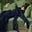 No More Dilettante's avatar