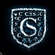 CyberShield Chronicles