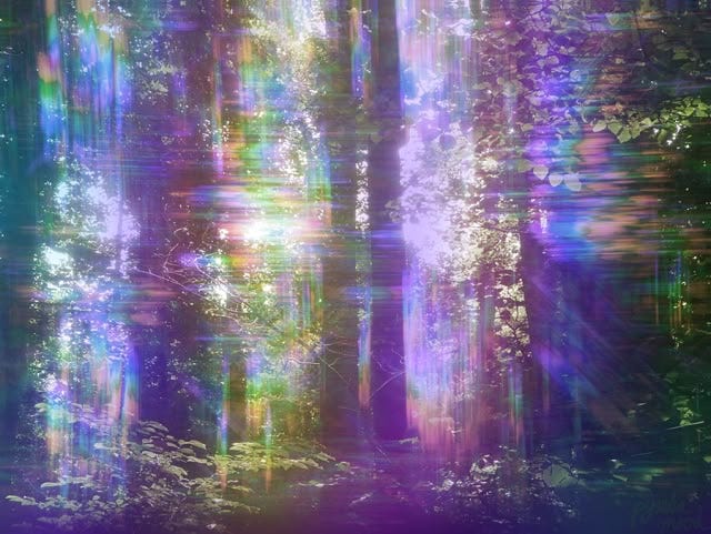 Luminescent rainbow forest through slightly blurry lens