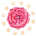 Sophia Foundation's avatar
