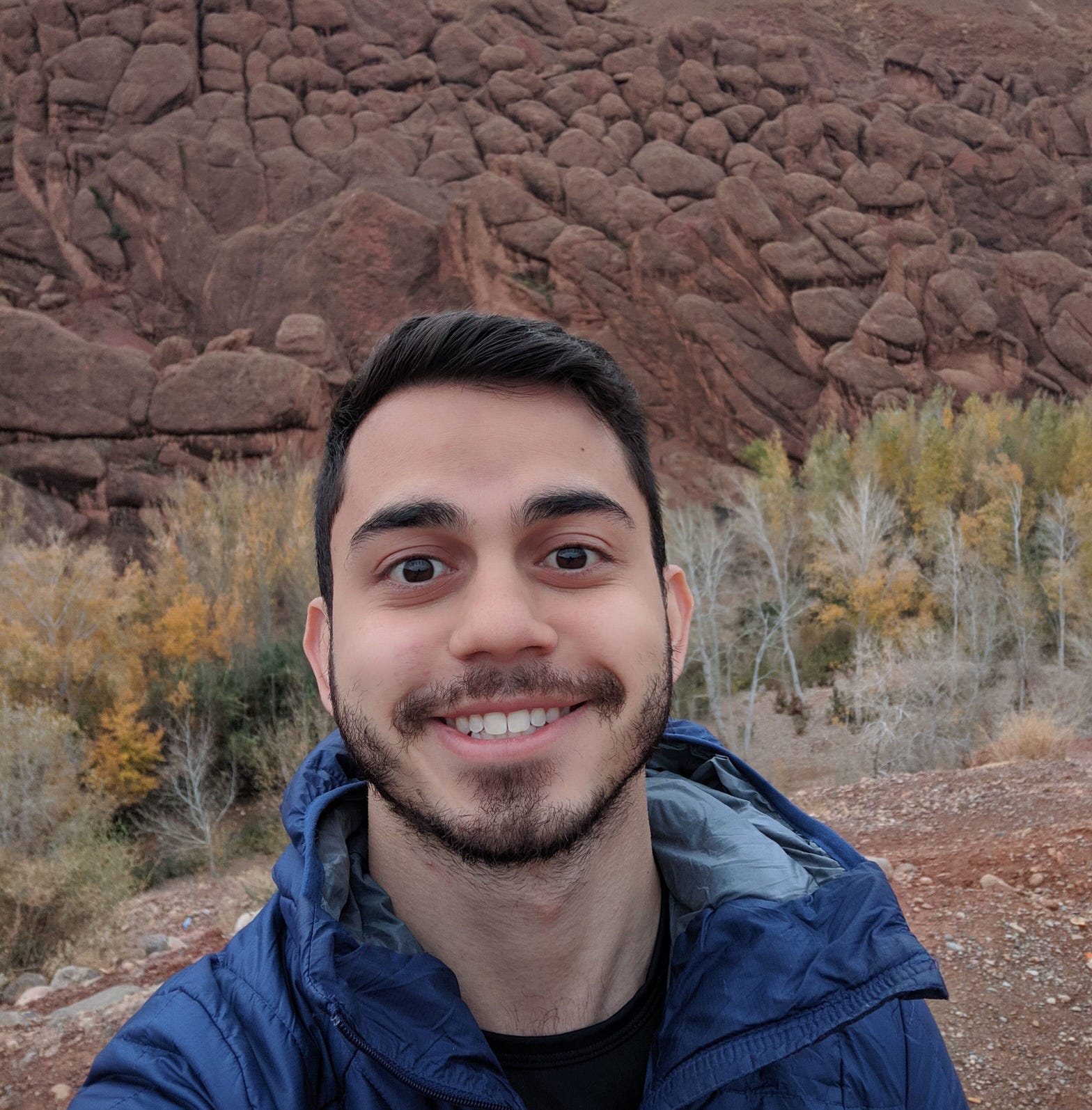 Substack profile picture for @bravo