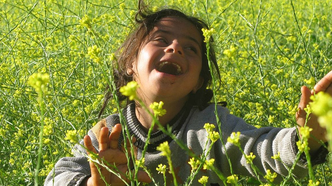 Still of “The Last Girl” - Photo Credit Daryoush Gharibzadeh