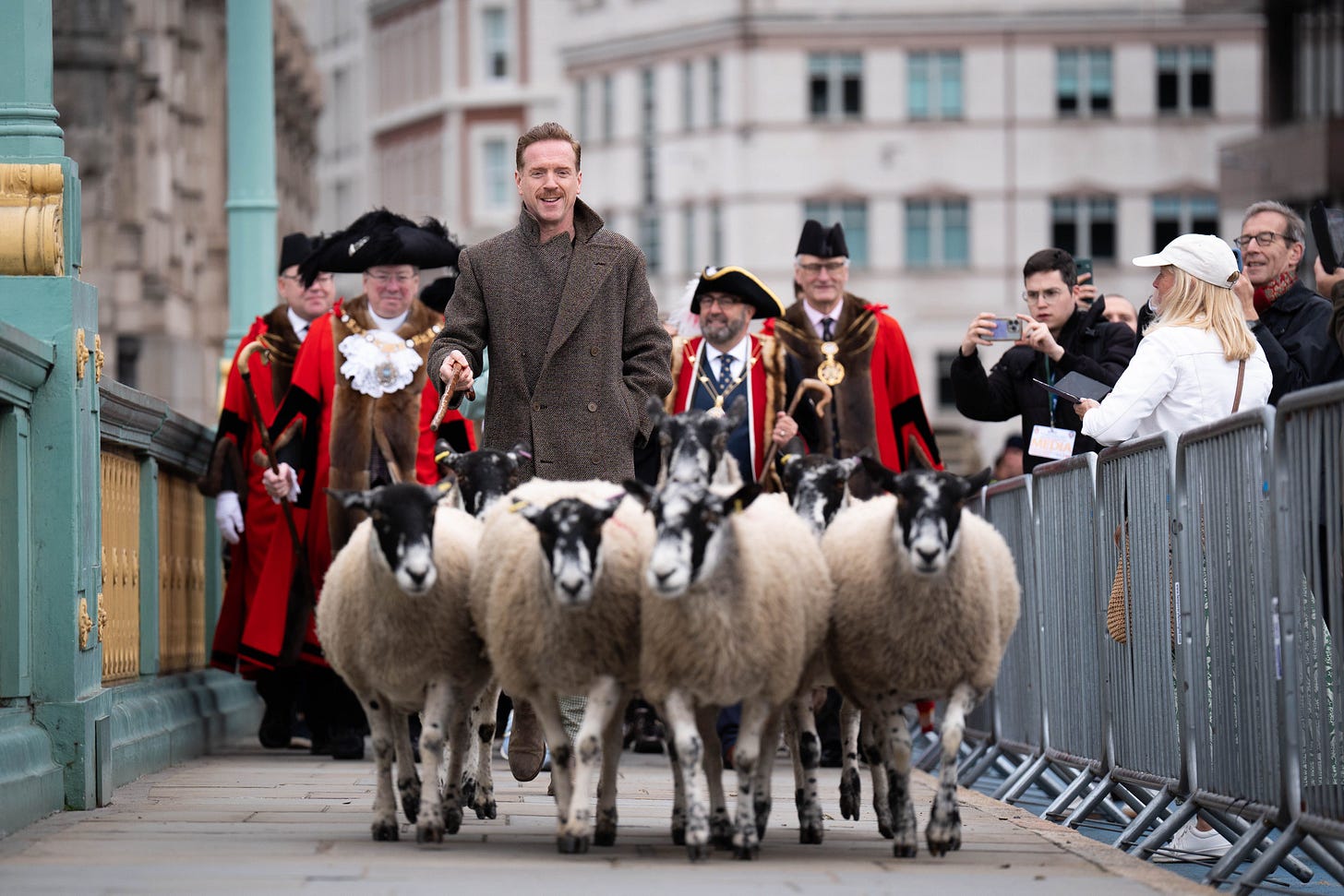 Hollywood's Damian Lewis drives sheep over the Thames in 'eccentric'  tradition | The Independent