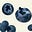 readwithsargun's avatar