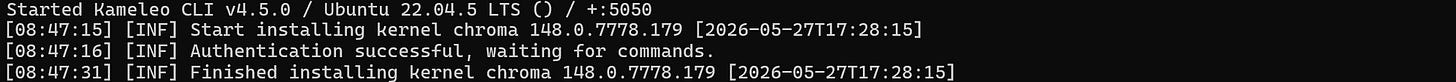 The Kameleo Docker image startup logs