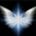 Observing Consciousness's avatar