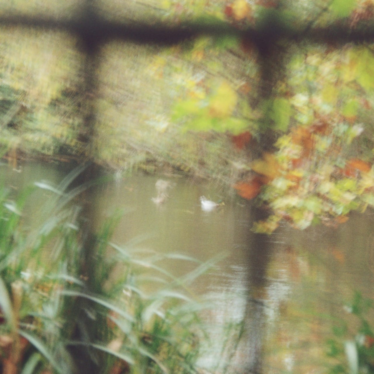 Becoming Heard / Poetry