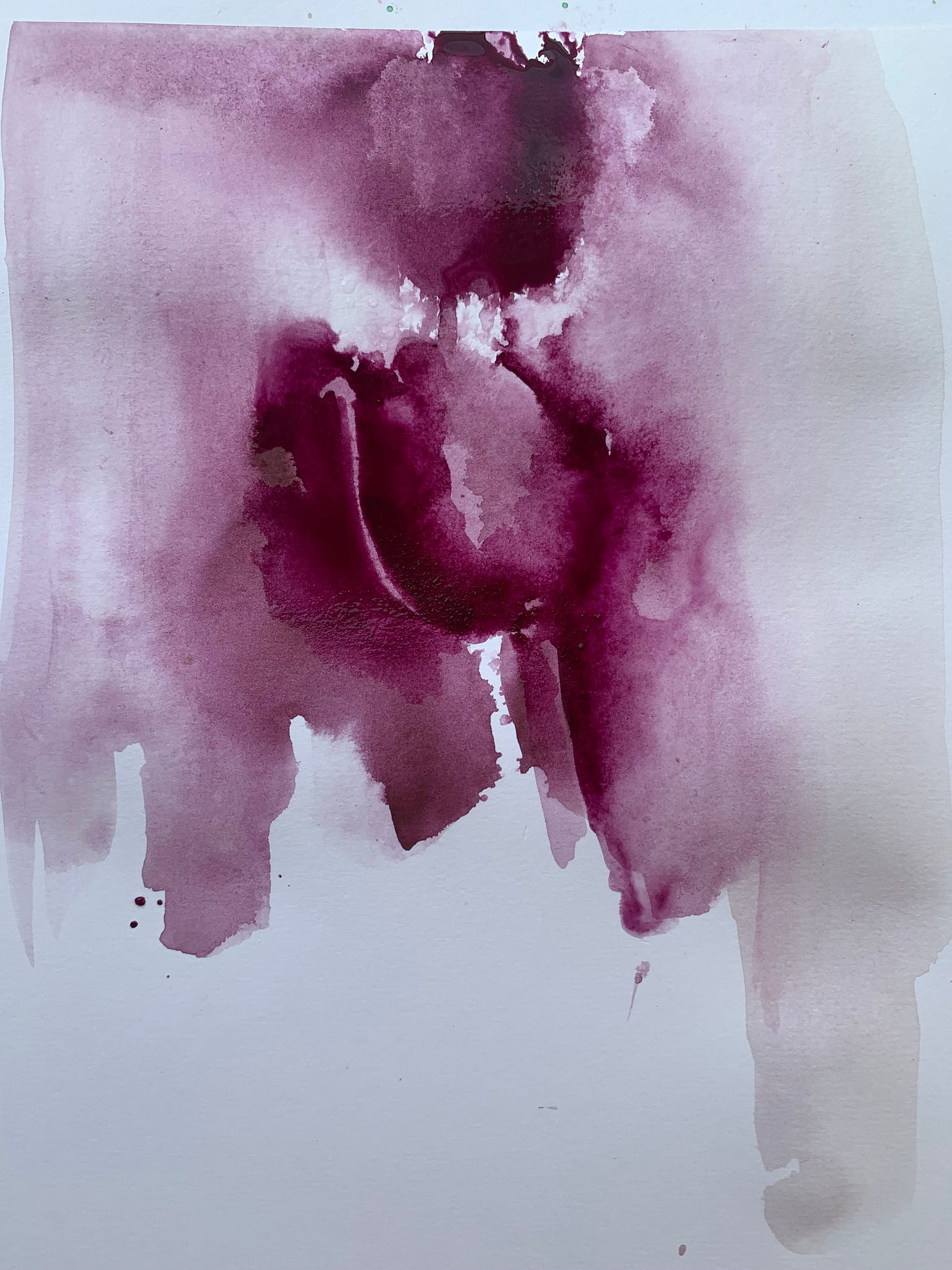 watercolour tulips