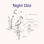 Night Ibis's avatar