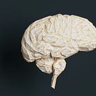 ADHD Optimization Guide: 8 Biohacking Strategies to Heal the Root Causes