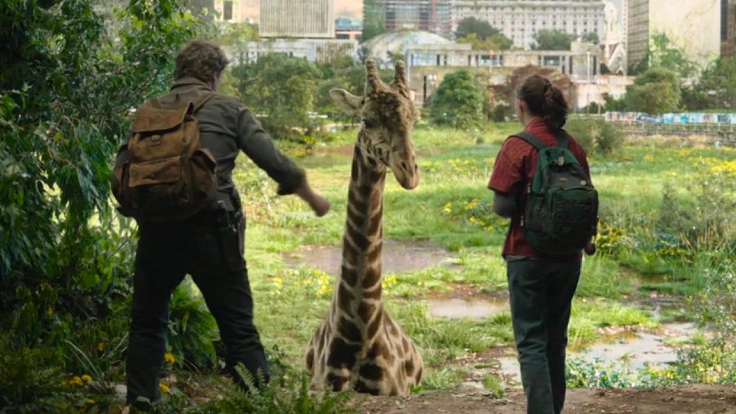 The Last of Us Episode 9: What do the giraffes mean? - Dexerto The Last of Us Episode 9: What do the giraffes mean? - Dexerto