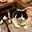 Liz and Max the No. 1 Cat's avatar