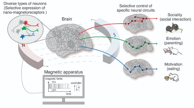 mouse mind control experiment mouse mind control experiment