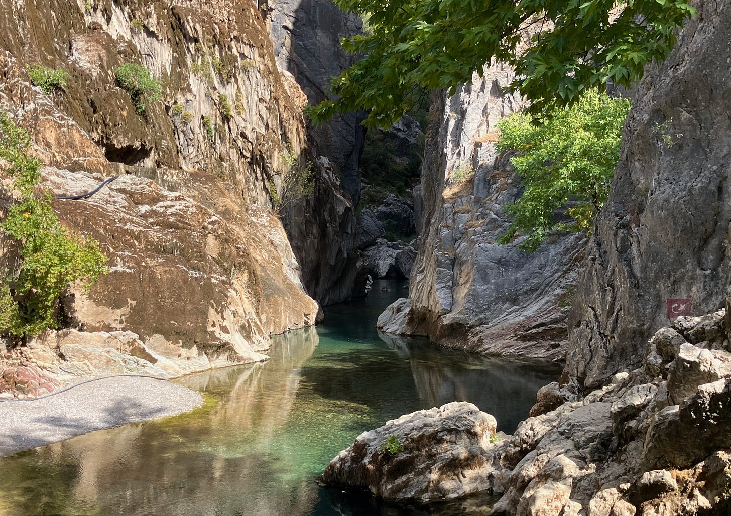 Bir kanyon, ortadan yeşil renkli bir su akıyor.