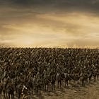 Théoden’s Journey Out of Despair