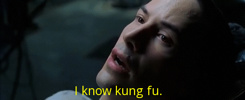 Matrix I know kung fu Matrix I know kung fu