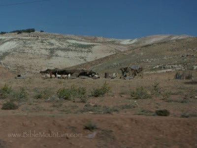 Picture of bedouin tents Picture of bedouin tents