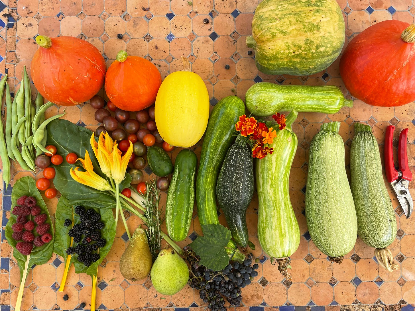 An overhead view of a homegrown fall harvest laid out on a terracotta and blue tiled table: three red-orange potimarron squashes, a green and yellow striped squash, a yellow spaghetti squash and a row of zucchini in different shades of green. Around them are cucumbers, red and dark cherry tomatoes, green beans, squash blossoms, a sprig of rosemary, two pears, a bunch of small dark grapes on a vine leaf, orange marigolds, and raspberries and blackberries resting on chard leaves, with a pair of red pruning shears on the right. An overhead view of a homegrown fall harvest laid out on a terracotta and blue tiled table: three red-orange potimarron squashes, a green and yellow striped squash, a yellow spaghetti squash and a row of zucchini in different shades of green. Around them are cucumbers, red and dark cherry tomatoes, green beans, squash blossoms, a sprig of rosemary, two pears, a bunch of small dark grapes on a vine leaf, orange marigolds, and raspberries and blackberries resting on chard leaves, with a pair of red pruning shears on the right.