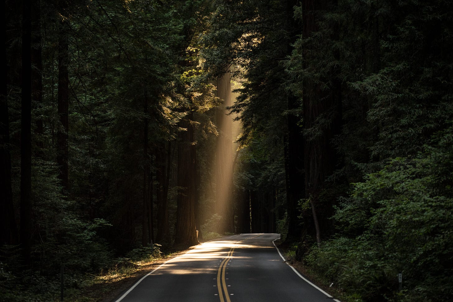 A two-lane road through a dark forest, with a ray of sunlight shining down in the middle of the road ahead in the middle distance. A two-lane road through a dark forest, with a ray of sunlight shining down in the middle of the road ahead in the middle distance.