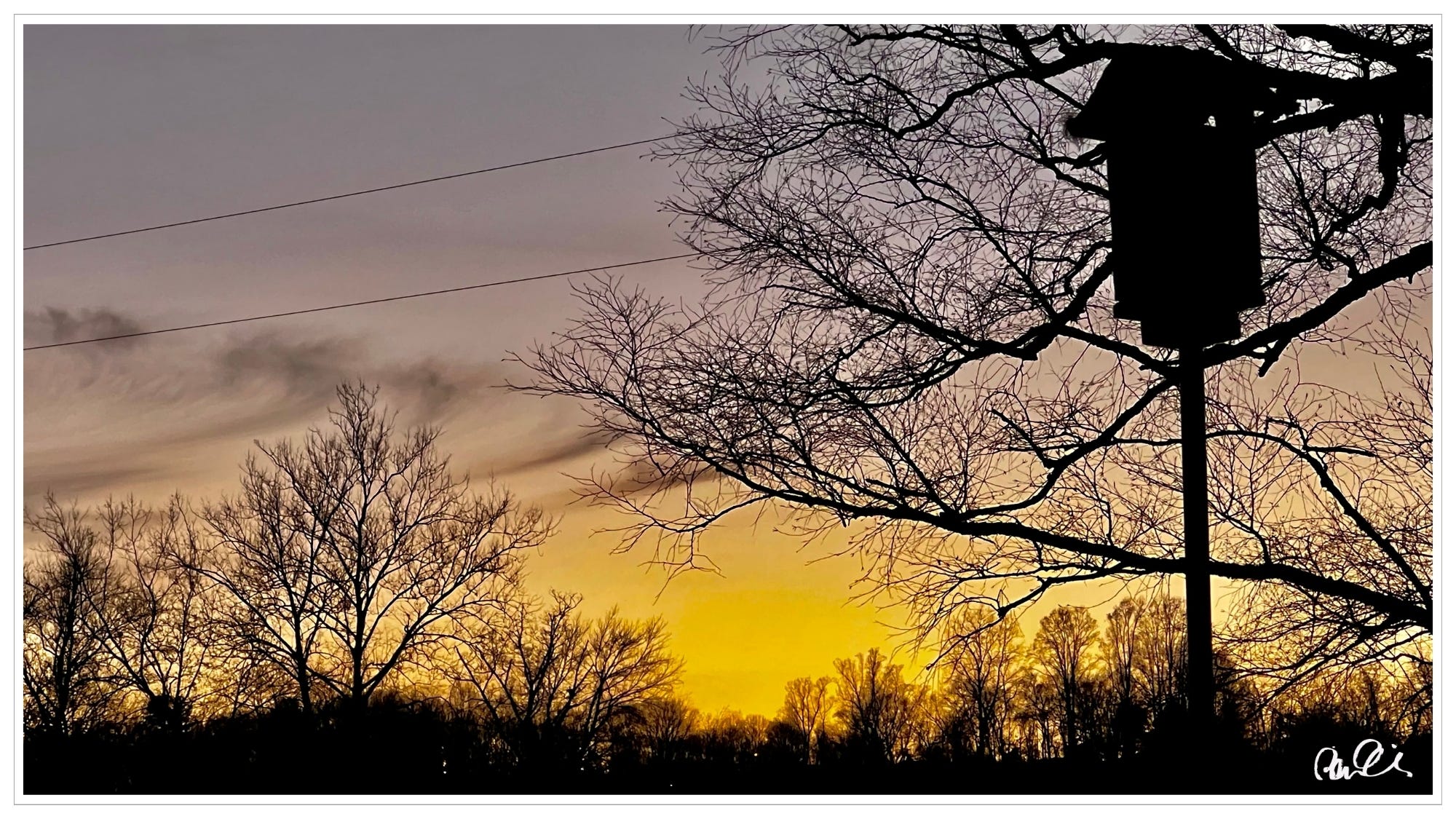 Light peaking through birdhouse at sunset, power lines & tree limbs in backdrop