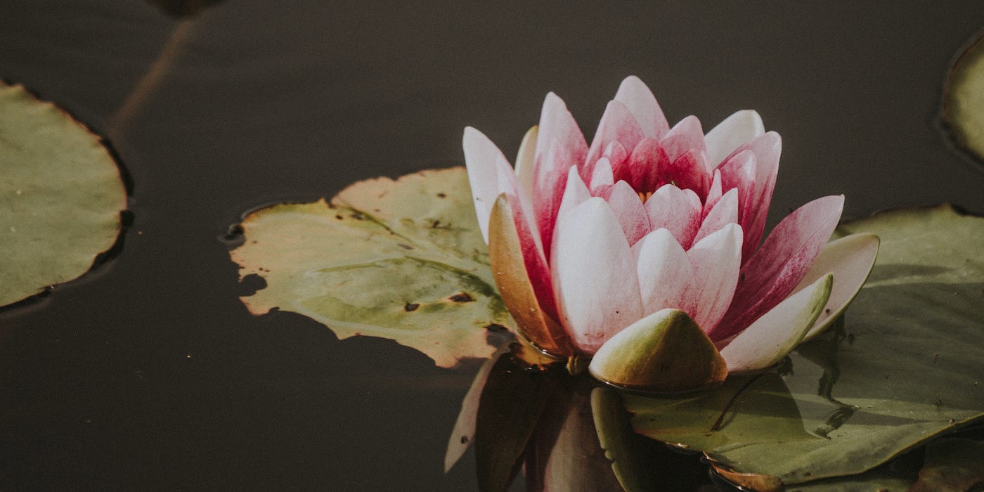 dukkha in buddhism meaning