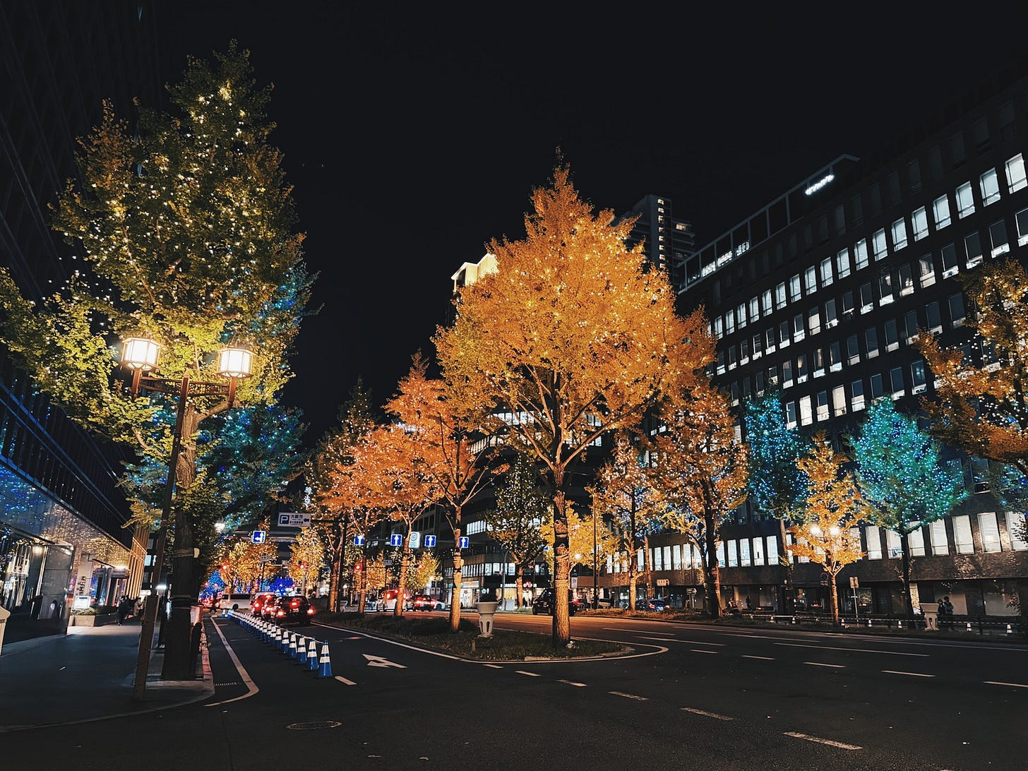 Illuminated ginkgo trees lining Hommachi boulevard in Osaka at night with office buildings and street lights.