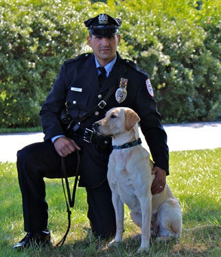 Socks, one of the famous Penn Vet Working Dogs, with Officer DePallo. Socks, one of the famous Penn Vet Working Dogs, with Officer DePallo.