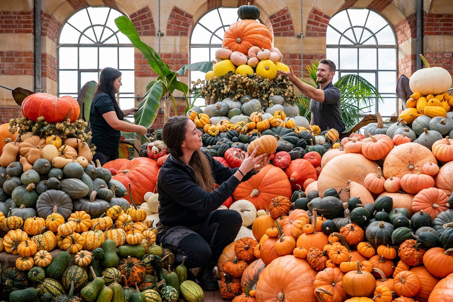 Pumpkins at Tyntesfield in North Somerset