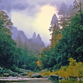 Why The Fix Our Forests Act Won’t Fix Our Forests