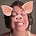 Melissa McGuckin's avatar