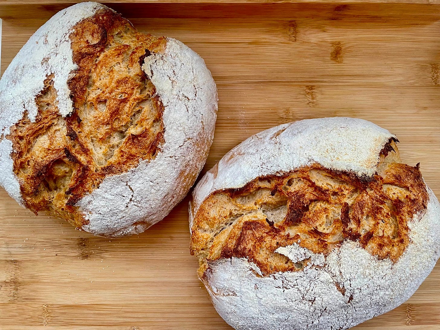 Nu este disponibilă nicio descriere pentru fotografie.