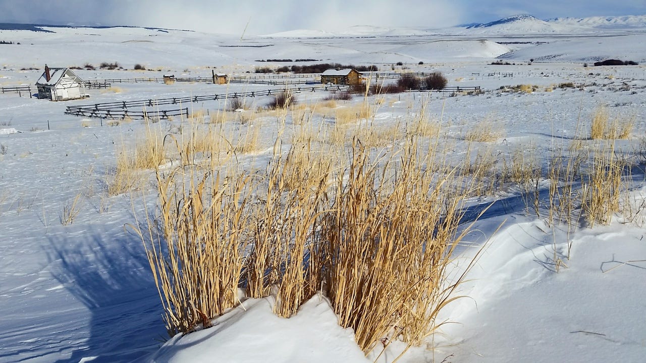 First Day Of 2017 @ Horse Prairie Station First Day Of 2017 @ Horse Prairie Station