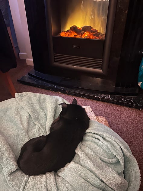 Early morning sketching in front of the fire.