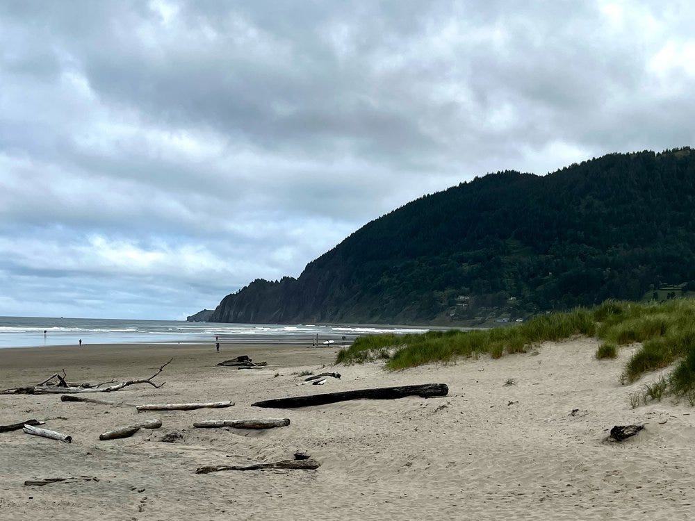 Nehalem Beach, where the ship wrecked, with Neahkahnie Mountain in the distance Nehalem Beach, where the ship wrecked, with Neahkahnie Mountain in the distance
