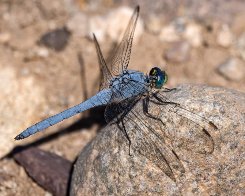 20250818-ElRio-180-Edit 2.jpg 20250818-ElRio-180-Edit 2.jpg