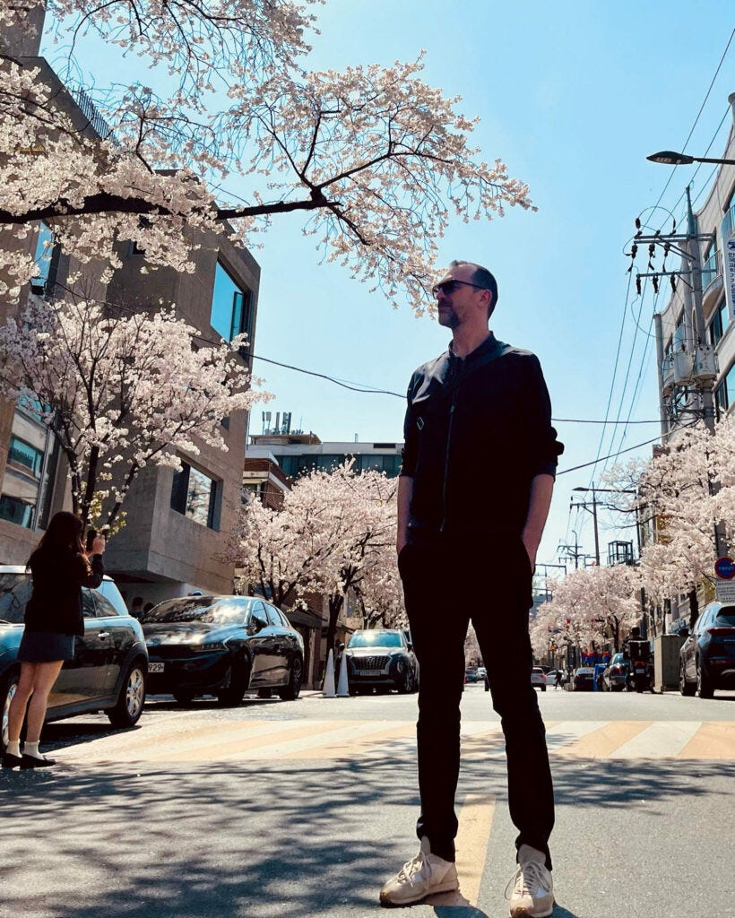 Michael Kirschblüte Südkorea Seoul Michael Kirschblüte Südkorea Seoul