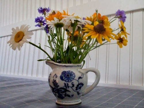 summer pitcher summer pitcher