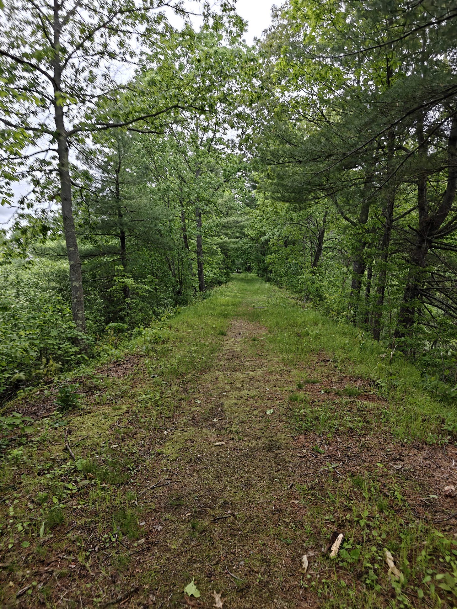 A Trek Along the Cocheco Railroad