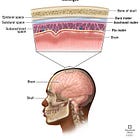 HHV-related Meningitis/Encephalitis following COVID Vaccination