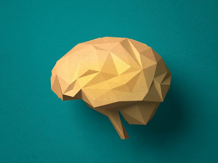 oragami brain.jpg