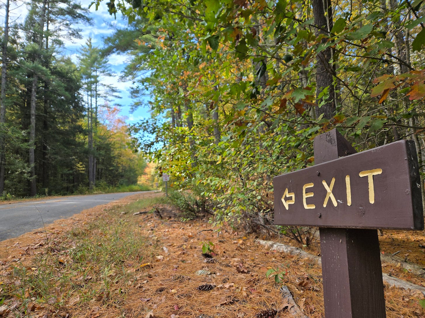 An Exit sign in a forest.