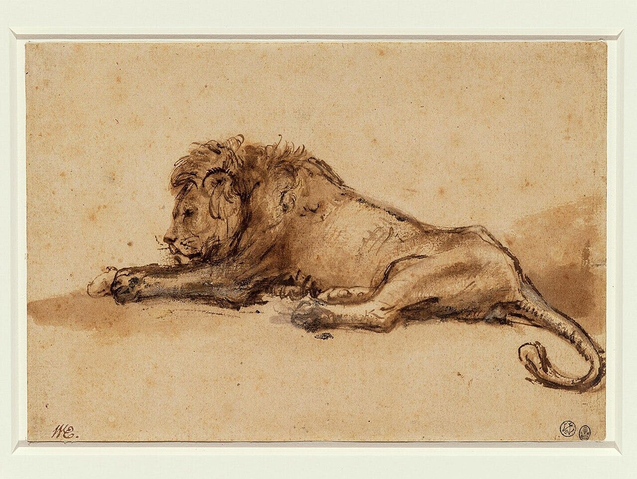 A lion sprawled on the ground, drawn in a few strokes of ink A lion sprawled on the ground, drawn in a few strokes of ink