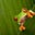 Sissily's avatar