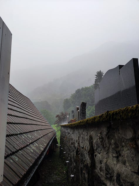 The same view from my study window, from July to September, there is the edge of the cemetery, a workshop roof, and the wooded lower slopes of a mountain, with crags and rock outcrops. The trees are all leaved, with rich shades of the colour. By later in the summer, some trees are looking tired, with foliage which is beginning to change colour for the autumn.