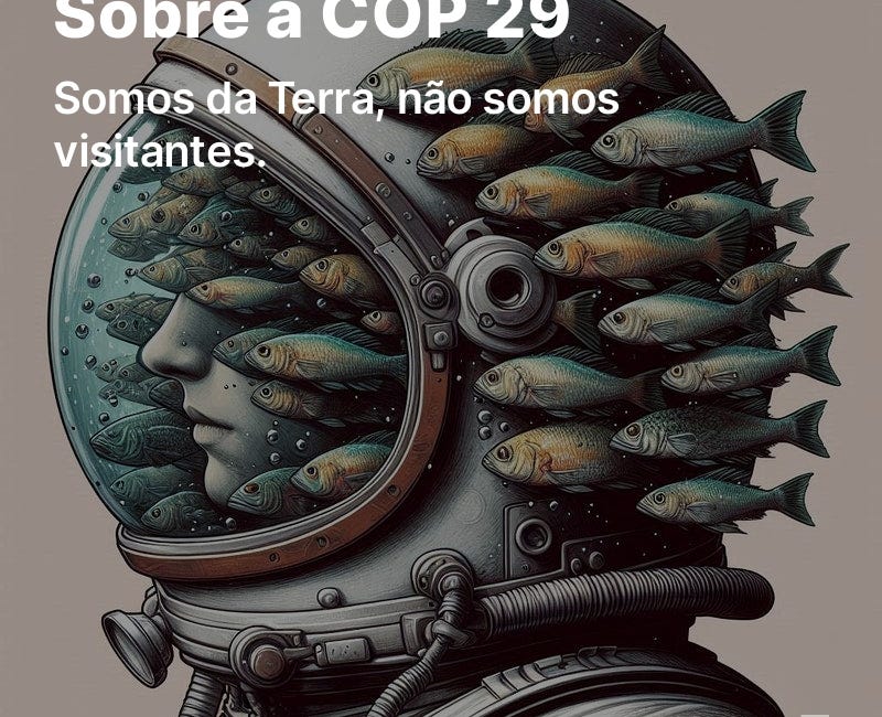 Sobre a COP 29