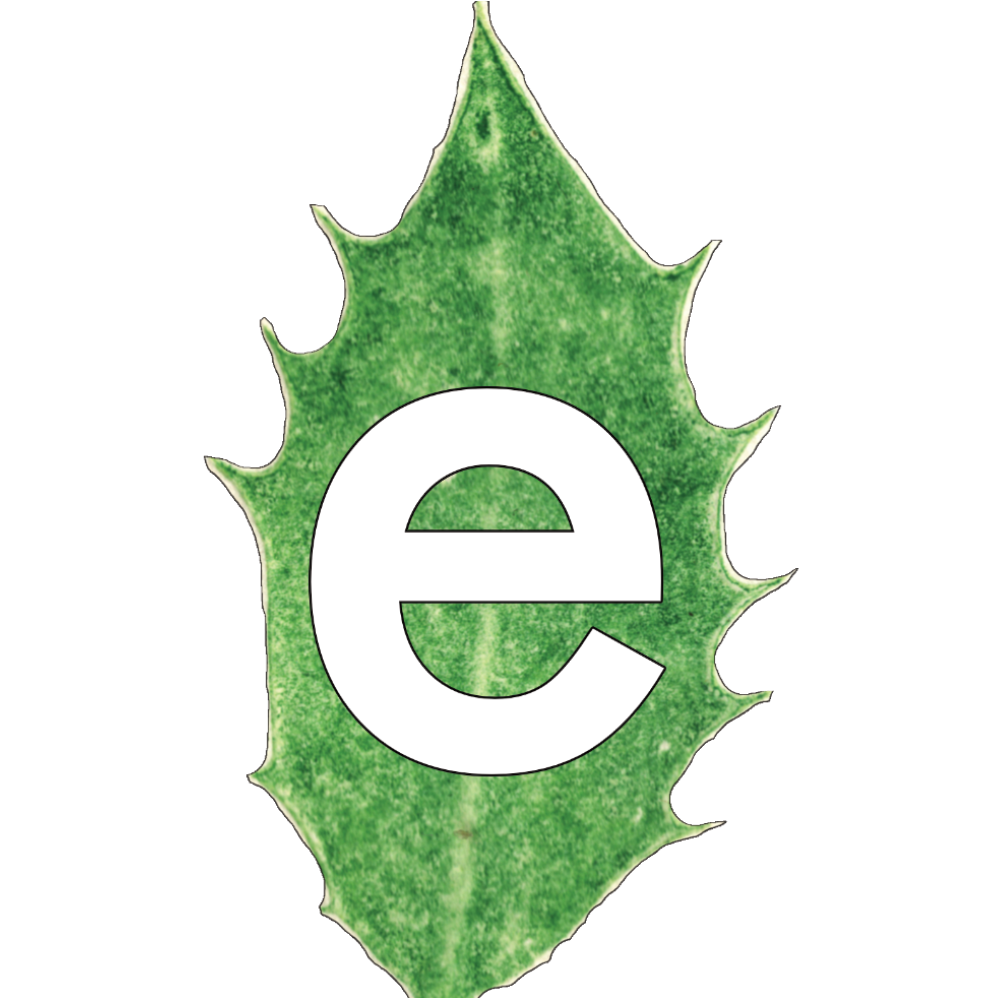 Artwork for Evergreen Music